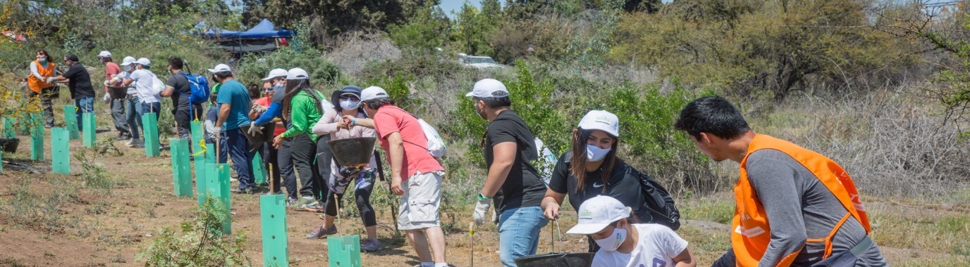 Grünenthal employees and their families planting trees in Chile as part of the #TreesForOurPlanet reforestation project initiated by Grünenthal